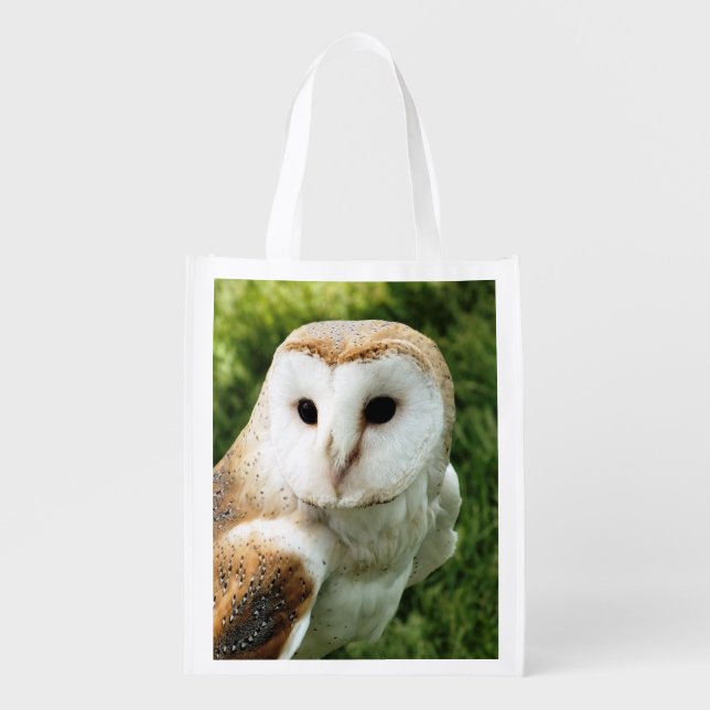 OWL GROCERY BAG (Front)