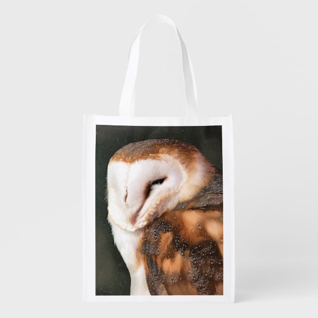 OWL GROCERY BAG (Front)