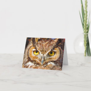 Owl Head - Eyes (Great Horned Owl) Card