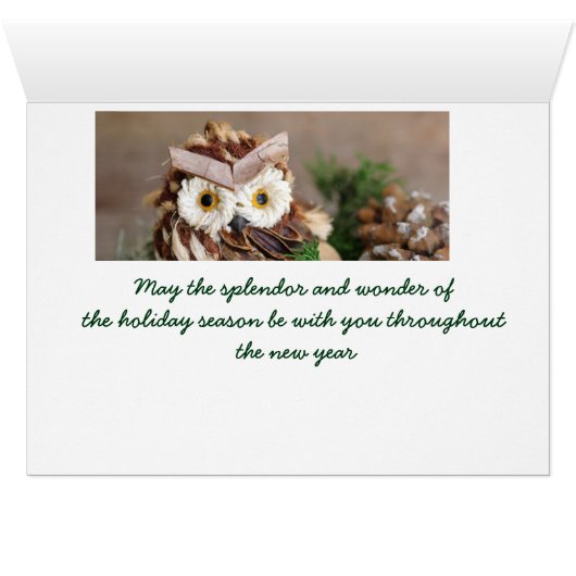 Owl Holiday greeting cards with envelope included (Inside Horizontal (Bottom))