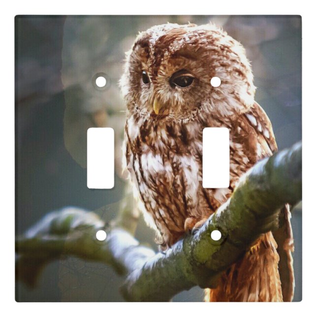 Owl Hoo Light Switch Cover (Front)