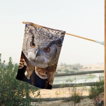 Owl House Flag by MarblesPictures at Zazzle