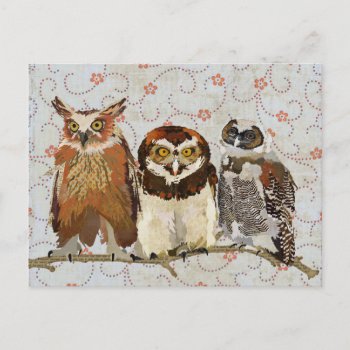 Owl In A Row Postcard by Greyszoo at Zazzle
