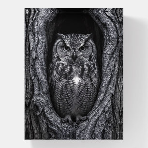 Owl in a Tree Hollow Black and White Paperweight
