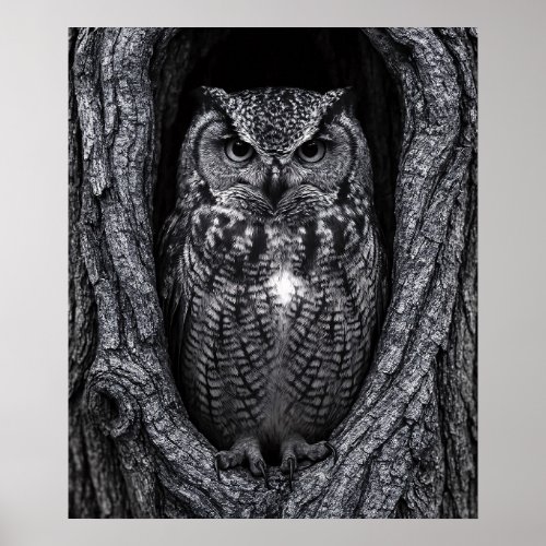 Owl in a Tree Hollow Black and White Poster