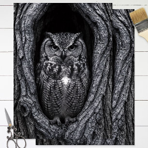 Owl in a Tree Hollow Black and White Tissue Paper