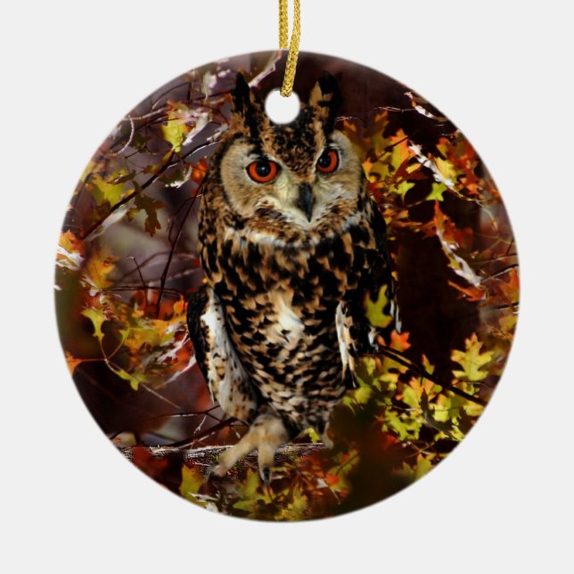 Owl in Autumn Ceramic Ornament (Front)