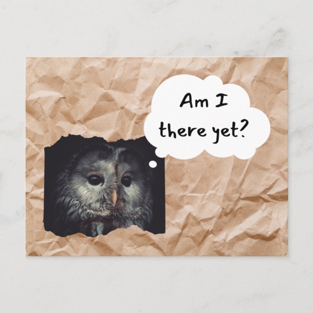 Owl in Brown Bag Postcard "Am I There Yet?" Humor (Front)