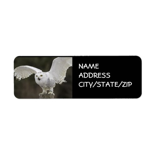 OWL IN FLIGHT ADDRESS LABELS