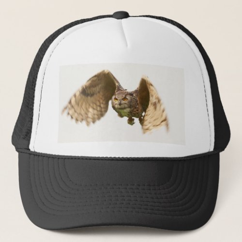 Owl in Flight Hat