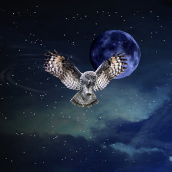 Owl In Flight Oval Belt Buckle by ErikaKai at Zazzle