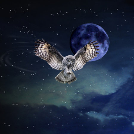 Owl In Flight Oval Belt Buckle
