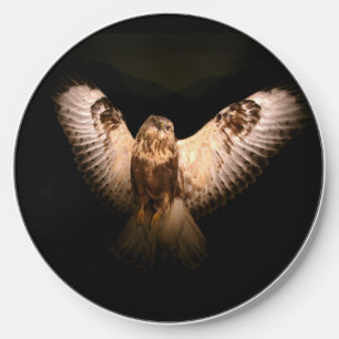 Owl In Flight Wireless Charger