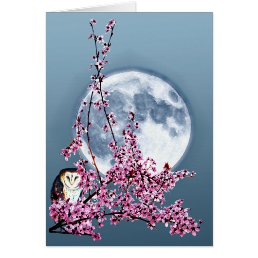 Owl in Plum Tree Cards (Front)