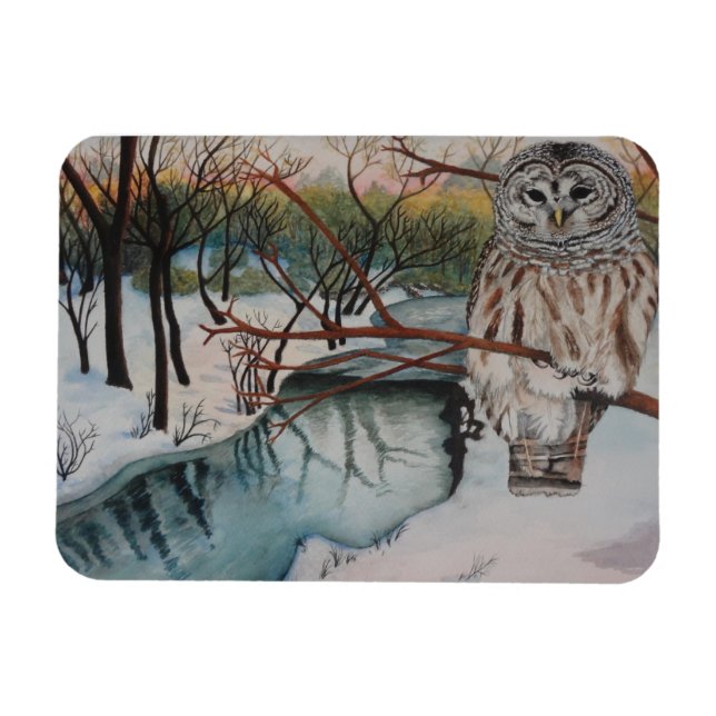 Owl in Snow Magnet (Horizontal)