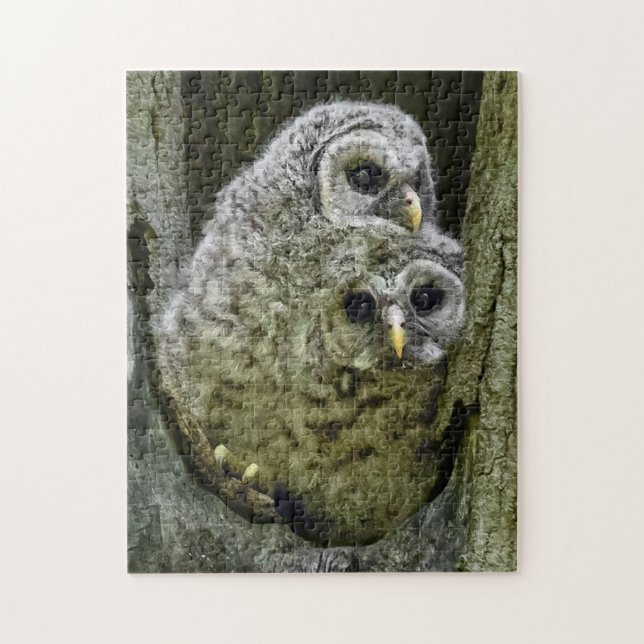 Owl In The Family Jigsaw Puzzle (Vertical)