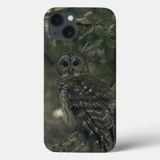 Owl In The Forest IPhone Cases