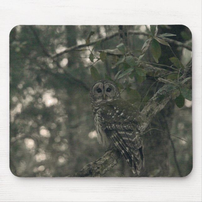 Owl in the Forest Mouse Pad (Front)