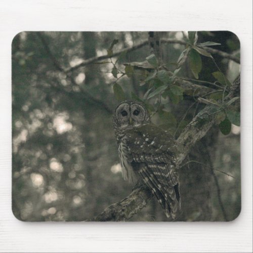 Owl in the Forest Mouse Pad