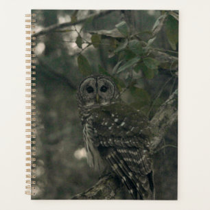 Owl in the Forest Planner