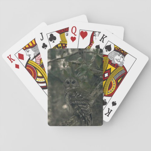 Owl in the Forest Poker Cards