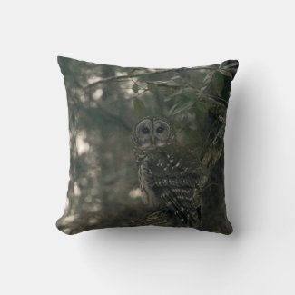 Owl In The Forest