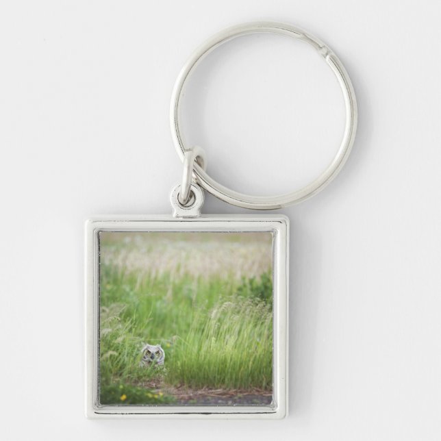 Owl In The Grass Keychain (Front)