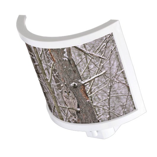 Owl In The Snow Night Light (Angled)