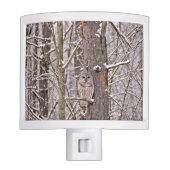 Owl In The Snow Night Light (Front)