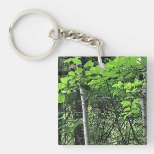 Owl in the Trees, Oregon Keychain