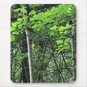 Owl in the Trees, Oregon Mouse Pad