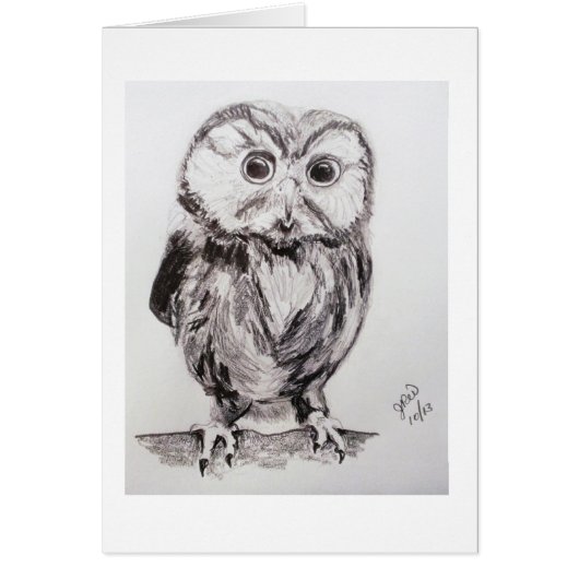 Owl in the World are you? Cards (Front)
