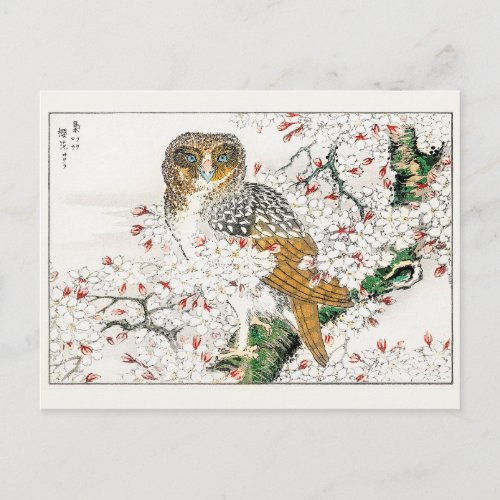 OWL IN TREE ANTIQUE ORIENTAL ART BY NUMATA KASHU POSTCARD