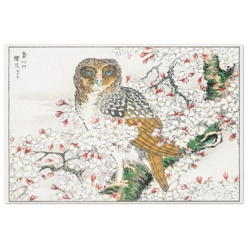 OWL IN TREE  ANTIQUE ORIENTAL ART TISSUE PAPER