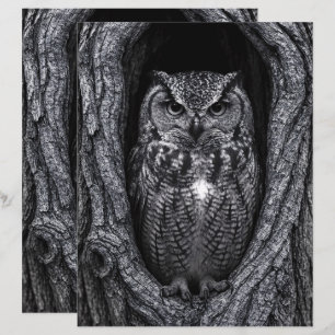 Owl in Tree Hollow Black and White Scrapbook Paper