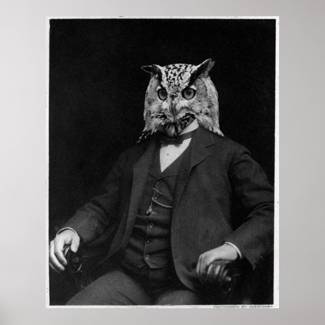 Owl Inventor Poster (Front)