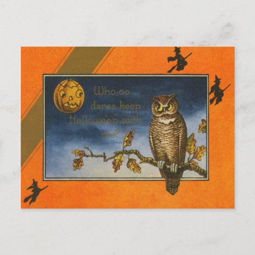 Owl Jack O Lantern Pumpkin Postcard