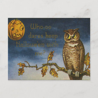 Owl Jack O Lantern Pumpkin Postcard