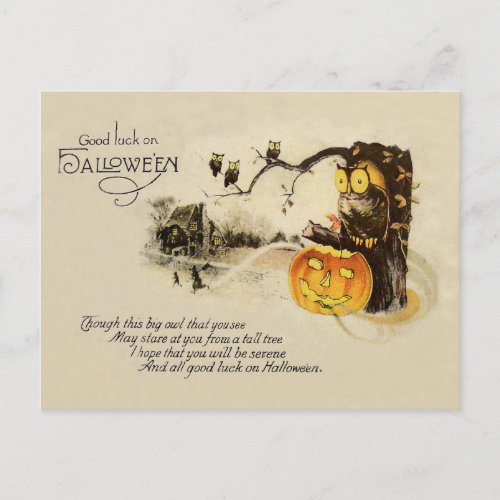 Owl Jack O Lantern Pumpkin Tree Postcard