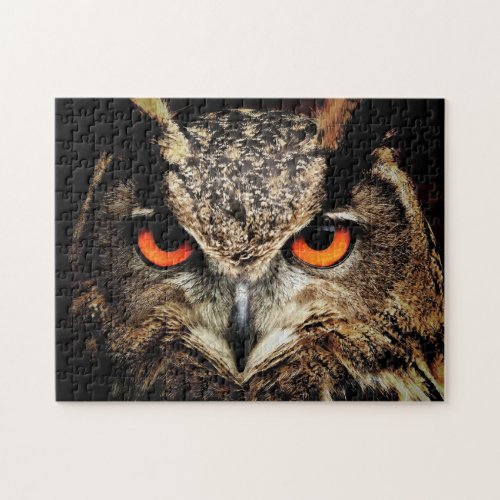 Owl Jigsaw Puzzle