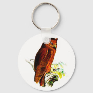 Owl Key Chain