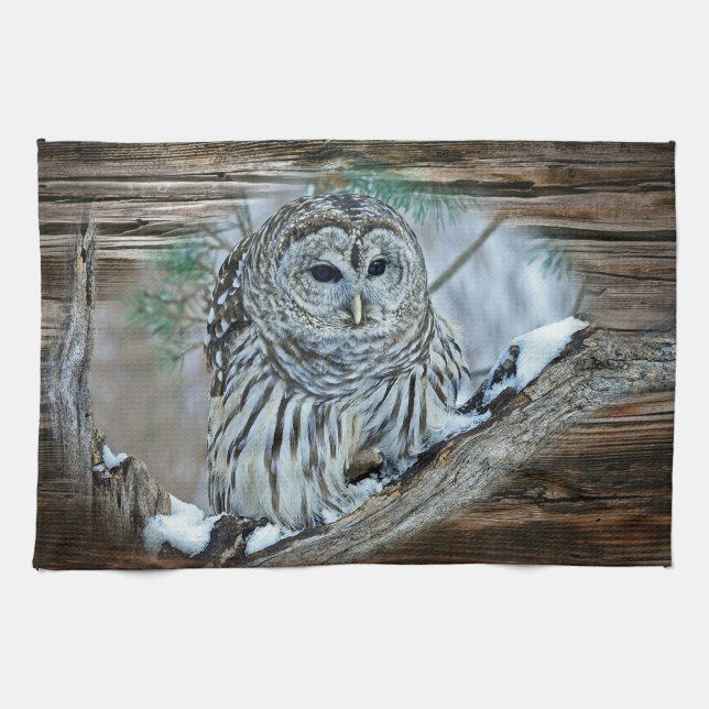 Owl Kitchen Towel (Horizontal)