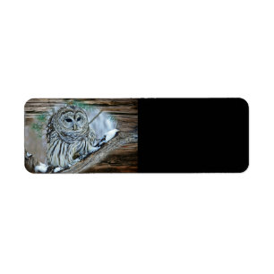 Owl Label
