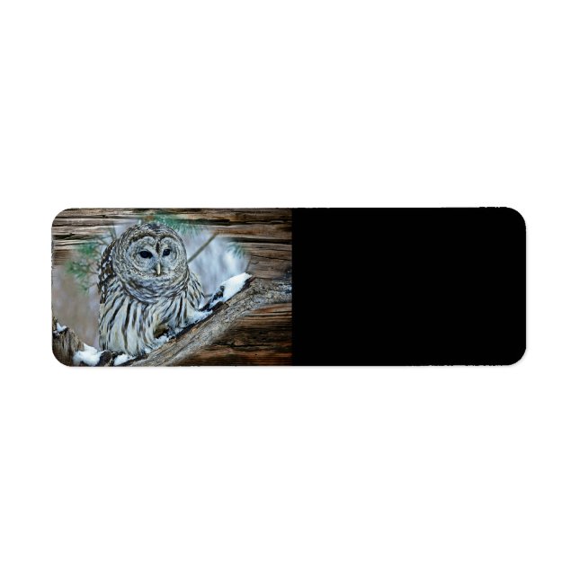 Owl Label (Front)