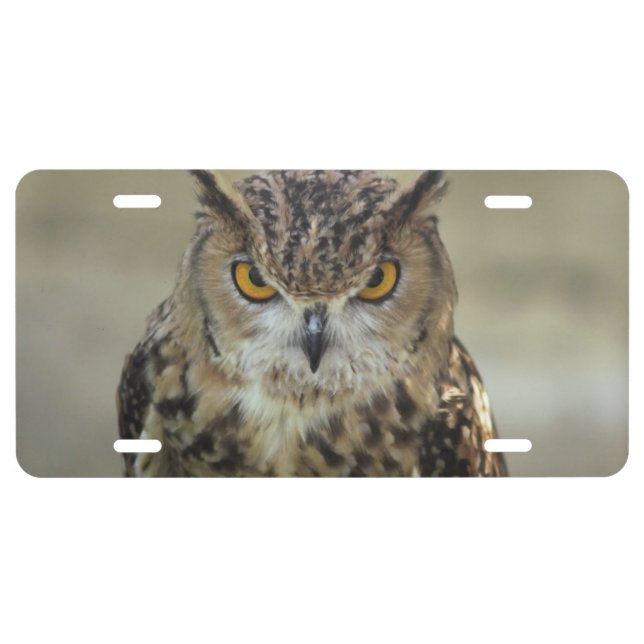 Owl License Plate (Front)