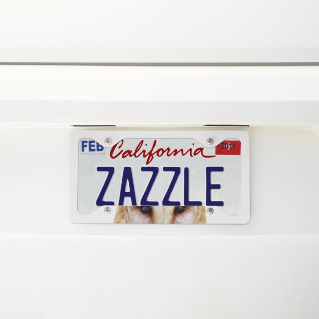 Owl License Plate Frame (On Car)
