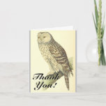 [ Thumbnail: Owl Like Bird, "Thank You!", Vintage Style Card ]