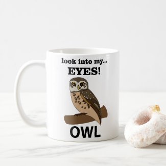 Owl Look Into My Eyes Owl