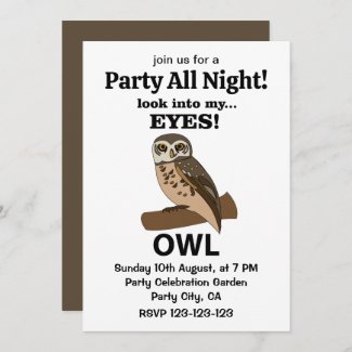 Owl Look Into My Eyes Owl