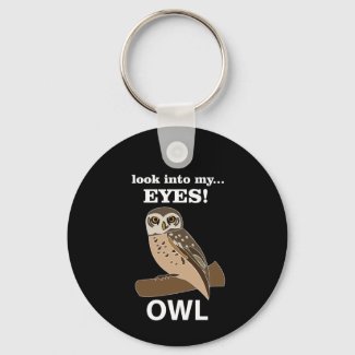 Owl Look Into My Eyes Owl